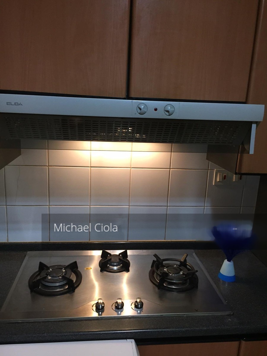 Spring Grove (D10), Condominium #130898962